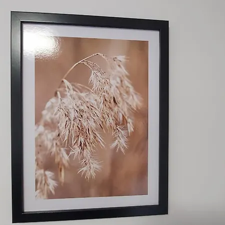 Cosy Szopena Apartamento Rzeszów