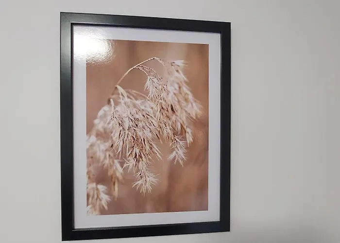 Cosy Szopena Apartment Rzeszow